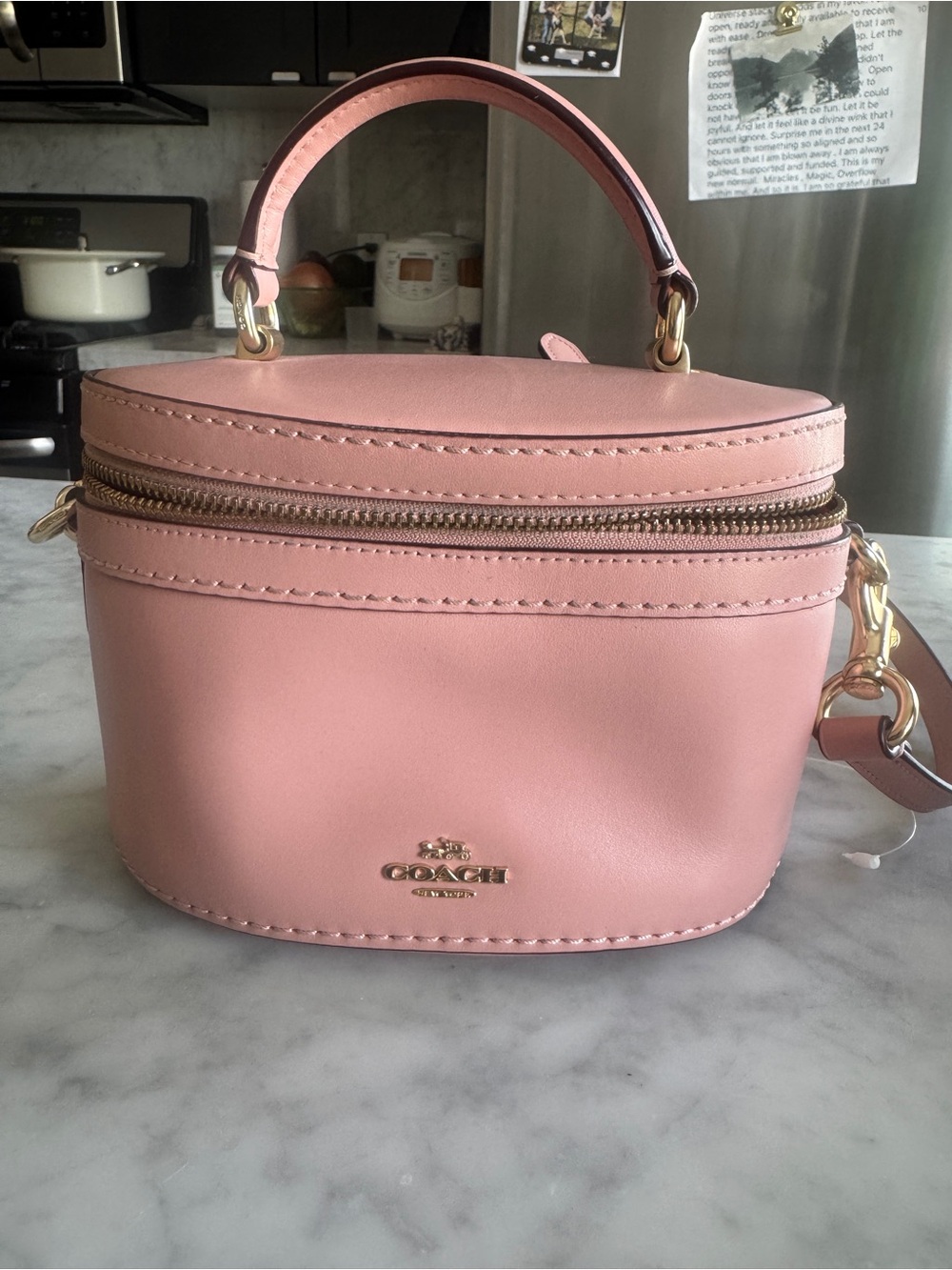 Coach x Selena Gomez, Pink Leather Top-Handle handbag